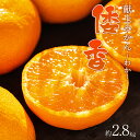 【ふるさと納税】【数量限定】土佐乃かなや マルチ 献上みかん「倭香(わか)」2.8kg - 送料無料 柑橘 のし 熨斗 数量限定 配送時間指定 蜜柑 ミカン フ...
