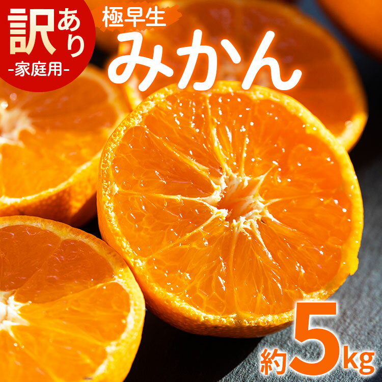 家庭用 訳あり 極早生みかん 約5kg - 送料無料 訳アリ フルーツ 果物 くだもの 果実 甘い あまい 酸味 蜜柑 ミカン 柑橘 ご自宅用 旬 季節 かなや農園 合同会社Benifare 国産 特産品 高知県 香南市【常温】be-0024