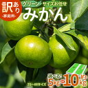 【ふるさと納税】【選べる】家庭用 訳あり グリーンみかん サイズお任せ(3S~Mサイズ)(内容量:約5kg/10kg) - ミカン 蜜柑 柑橘 果実 果物 フルーツ ご自宅用 ジューシー 果汁 フレッシュ 旬 季節 かなや農園 合同会社Benifare 国産 特産品 高知県 香南市【常温】