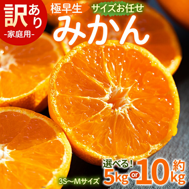 【ふるさと納税】【選べる】家庭用 訳あり 極早生みかん サイズお任せ(3S~Mサイズ)(内容量:約5kg/10kg) - 訳アリ フルーツ 果物 くだもの 果実 甘い あまい 酸味 蜜柑 ミカン 柑橘 ご自宅用 旬 季節 かなや農園 合同会社Benifare 国産 特産品 高知県 香南市【常温】