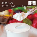 【ふるさと納税】ドルチェかがみ お楽しみジェラート&シャーベットセット 6個入り - 送料無料 アイス デザート おやつ スイーツ 詰め合わせ お楽しみ のし ...