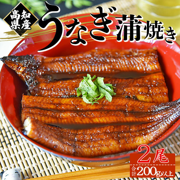 [大人気!]高知県産養殖うなぎ蒲焼き 2尾(合計200g以上) - 鰻 ウナギ 養殖 かばやき タレ付き たれ おつまみ スタミナ 土用の丑の日 うな丼 うな重 丼ぶり どんぶり 一品 おかず 美味しい おいしい 高知県 香南市[冷凍] fb-0018