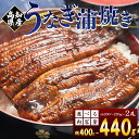 【ふるさと納税】高知県産 養殖うなぎ蒲焼き 2尾(選べる:合計約400g/合計約440g)- 国産 鰻 ウナギ 養殖 かばやき タレ付き たれ おつまみ スタミ...