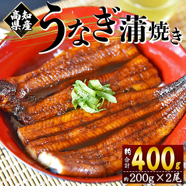 国産 養殖うなぎ 蒲焼き 2尾(合計約400g)高知県産 - 鰻 ウナギ 養殖 かばやき タレ付き たれ おつまみ スタミナ 土用の丑の日 うな丼 うな重 丼ぶり どんぶり 一品 おかず 美味しい おいしい 高知県 香南市[冷凍] fb-0011