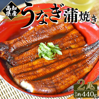 国産養殖うなぎ蒲焼き 2尾（合計約440g）高知県産鰻 - 鰻 ウナギ かばやき 蒲焼 土用の丑の日 スタミナ 夕飯 有頭 約220g おかず おつまみ うな丼 うな重 丼ぶり 丼物 さかな 肴 夕飯 夕食 朝食 お酒 グルメ 送料無料 高知県 香南市【冷凍】 fb-0012