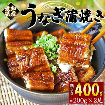 愛知県産 養殖うなぎ蒲焼き 2尾（合計約400g） - 鰻 ウナギ かばやき 蒲焼 土用の丑の日 スタミナ ご飯のお供 ごはん 夕食 夕飯 昼食 有頭 おつまみ 肴 晩酌 うな丼 うな重 丼ぶり お取り寄せ 送料無料 パック 魚 高知県 香南市【冷凍】 fb-0013