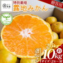 【ふるさと納税】【選べる内容量】ふじ農園の露地みかん 贈答用 (選べる内容量:2.5kg/5kg/10kg)(2S~M) - 国産 蜜柑 ミカン 柑橘 果物 フルーツ 贈答 プレゼント ギフト 贈り物 ふじ農園 高知県 香南市 【常温】