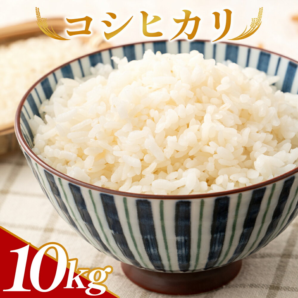 【ふるさと納税】新米 令和7年産 コシヒカリ 計10kg - 米 お米 こめ おこめ こしひかり ご飯 ごはん 白米 精米 合同会社歩 高知県 香南市【常温】 ...