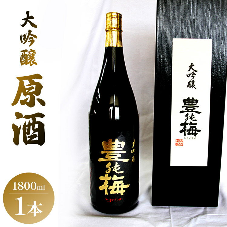 華やかな香りの大吟醸原酒（ギフト用）1800ml×1本 - 日本酒 お酒 さけ 豊能梅 とよのうめ 送料無料 アルコール のし 贈り物 晩酌 高知県 香南市【常温】gs-0068