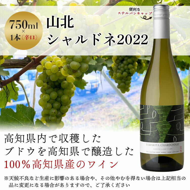 【ふるさと納税】高知県産ワイン tosa cavatina 山北シャルドネ2022 (750ml×1本) - 白 ワイン 辛口 お酒 さけ アルコール ボトル 瓶 おしゃれ プレゼント ギフト 贈り物 お祝い 御祝 内祝い 送料無料 高知県 香南市【冷蔵】 iw-0004