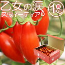 【ふるさと納税】乙女の涙 スウィーティア ミニトマト 約1k