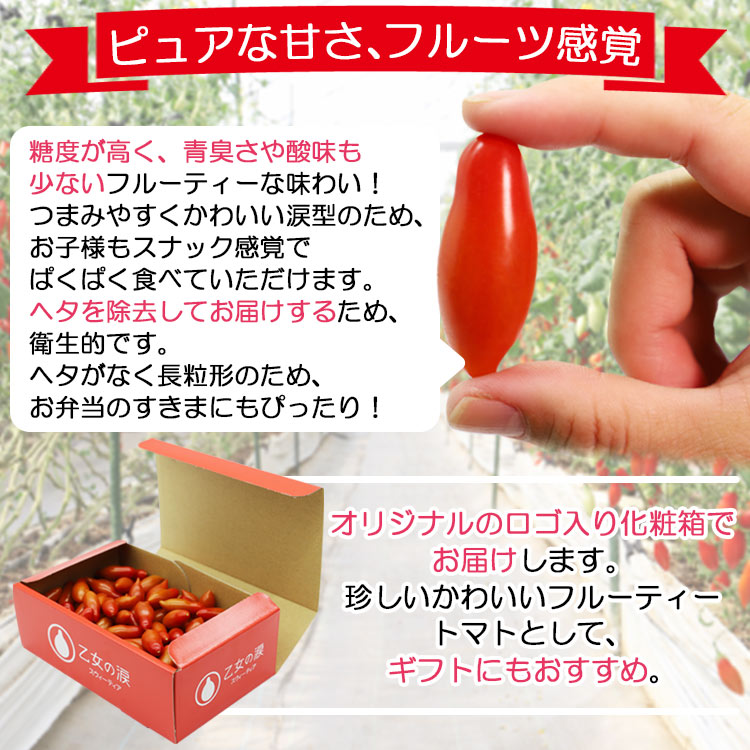 【ふるさと納税】乙女の涙 スウィーティア ミニトマト 約1kg - 送料無料 とまと プチトマト フルーツトマト ギフト のし対応 熨斗 高糖度 甘い 贈答用 贈り物 プレゼント 母の日 父の日 お礼 御礼 感謝 完熟 生野菜 やさい 井上石灰工業 高知県 香南市【常温/冷蔵】 is-0007