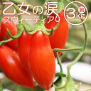 【ふるさと納税】【先行予約受付】乙女の涙 スウィーティア ミニトマト 約3kg(1kg×3箱)- 野菜 やさい とまと プチトマト フルーツトマト ギフト のし...