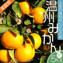 【ふるさと納税】【期間限定】土佐の高知のくだもの畑 みかん（家庭用）約5kg - 温州みかん ミカン 訳アリ わけあり 蜜柑 ミカン 柑橘 ..