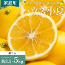 【ふるさと納税】【2026年出荷分 先行予約】【訳あり】ハウス小夏(日向夏)約2.5kg/約5kg(家庭用)- 選べる 訳アリ キズ ニューサマーオレンジ 果物...