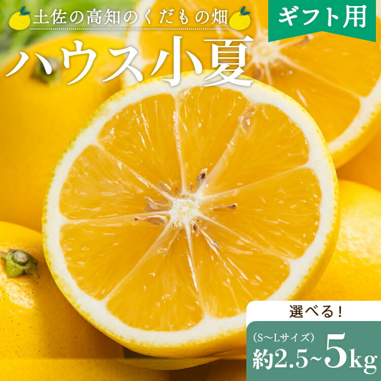 [2026年出荷分 先行予約][選べる]ハウス小夏(日向夏)約2.5kg/約5kg(ギフト用)- ニューサマーオレンジ 柑橘 果物 フルーツ こなつ 贈答用 甘い 国産 送料無料 土佐の高知のくだもの畑 高知県 香南市 レビューキャンペーン ゆずあんぱん風おまんじゅう