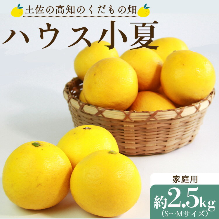 55位! 口コミ数「1件」評価「3」ハウス小夏 約2.5kg（家庭用・S～Mサイズ）- 日向夏 ニューサマーオレンジ ミカン みかん 蜜柑 柑橘 果物 くだもの フルーツ こな･･･ 