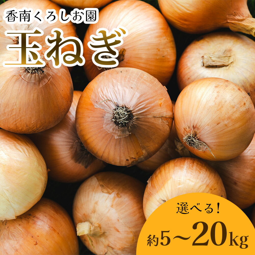 【ふるさと納税】【先行予約】【選べる内容量】玉ねぎ 約5kg〜20kg（大小混合・家庭用）- 香南市産 国産 たまねぎ タマネギ 玉葱 野菜 オニオンスープ ハンバーグ カレー 肉じゃが BBQ 料理 常備野菜 保存野菜 香南くろしお園 高知県 香南市【常温】 Rke-0009
