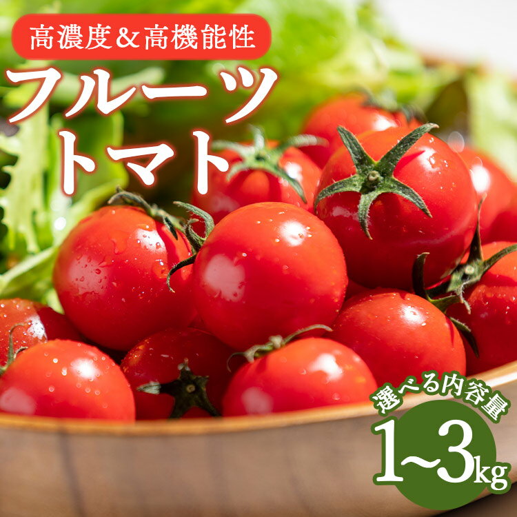 【ふるさと納税】【数量限定】高糖度＆高機能性 フルーツトマト