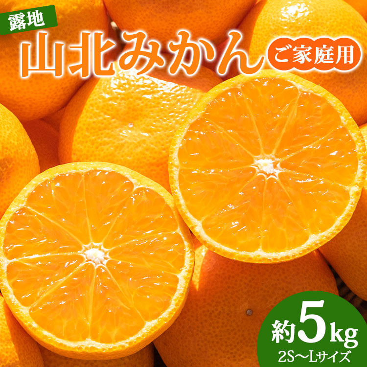 【ふるさと納税】訳あり 数量限定 山北みかん 約5kg(家庭用・露地栽培)- 果物 フルーツ 温州みかん 柑橘類 ミカン 蜜柑 おすそ分け おいしい 甘い 特産品 送料無料 高知県 香南市【常温】ku-0022