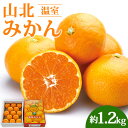 16位! 口コミ数「7件」評価「4.29」【数量限定/期間限定】山北温室みかん 約1.2kg - 送料無料 のし対応可 熨斗 果物 くだもの フルーツ 柑橘 ミカン 蜜柑 甘い あま･･･ 