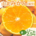 【ふるさと納税】【先行予約】山北温室みかん 約1.2kg/約2.5kg - 秀品 果物 くだもの フルーツ 柑橘 ミカン 蜜柑 選べる ギフト 産地直送 特産品...
