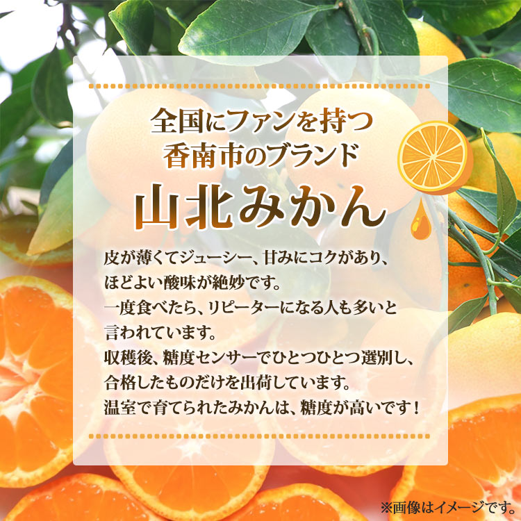 【ふるさと納税】【数量限定】山北温室みかん 約2.5kg - 果物 くだもの フルーツ 果実 柑橘 蜜柑 ミカン 熨斗 のし対応可 高糖度 甘い あまい 酸味 すっぱい 酸っぱい 爽やか さやわか 果汁 ジューシー フレッシュ 瑞々しい みずみずしい 高知県 香南市【常温】ku-0030