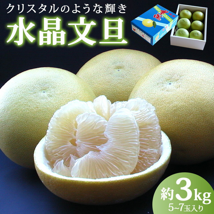 先行予約受付！高知県香南市産 水晶文旦 約3kg（5〜7玉入り）- 期間限定 数量限定 果物 くだもの フルーツ 柑橘 柑橘類 デザート 果実 すいしょう ぶんたん ブンタン 甘い あまい 美味しい おいしい フレッシュ ジューシー 高知県 香南市【常温】ku-0031