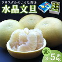 【ふるさと納税】【選べる内容量】先行予約受付!高知県香南市産 水晶文旦 約3kg/約5kg - 送料無料 果物 くだもの フルーツ 柑橘 ブンタン ぶんたん み...