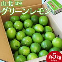 3位! 口コミ数「0件」評価「0」【数量限定】高知県産 山北温室グリーンレモン 約5kg（S〜Lサイズ） - 送料無料 果物 フルーツ 柑橘 のし対応可 レモン酎ハイ お酒 ･･･ 