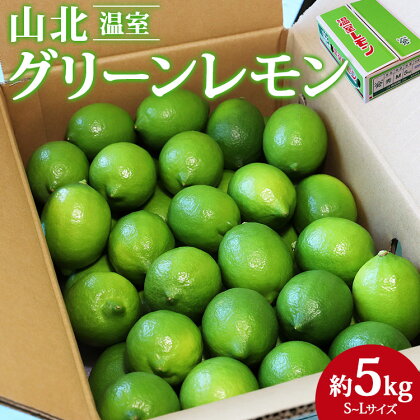 【数量限定】高知県産 山北温室グリーンレモン 約5kg（S〜Lサイズ） - 送料無料 果物 フルーツ 柑橘 のし対応可 レモン酎ハイ お酒 お菓子 料理 高知県 香南市【常温】 ku-0035