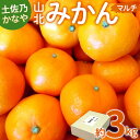 【ふるさと納税】【数量限定】土佐乃かなや マルチ 山北みかん 約3kg - 送料無料 フルーツ 果物 くだもの 温州みかん ミカン 柑橘 甘い おいしい 旬 季節限定 かなや農園 合同会社Benifare 国産 特産品 高知県 香南市【常温】be-0016