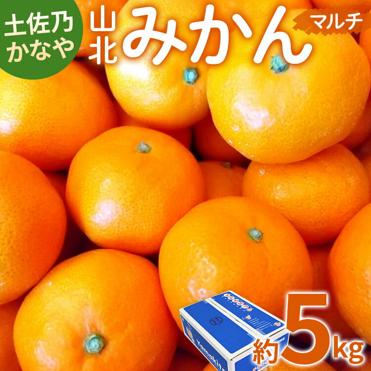 【ふるさと納税】【数量限定】土佐乃かなや マルチ 山北みかん 約5kg - 送料無料 フルーツ 果物 くだもの 温州みかん ミカン 柑橘 甘い おいしい 旬 季節限定 かなや農園 合同会社Benifare 国産 特産品 高知県 香南市【常温】be-0017