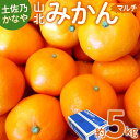 【ふるさと納税】【数量限定】土佐乃かなや マルチ 山北みかん 約5kg - 送料無料 フルーツ 果物 くだもの 温州みかん ミカン 柑橘 甘い おいしい 旬 季節限定 かなや農園 合同会社Benifare 国産 特産品 高知県 香南市【常温】be-0017