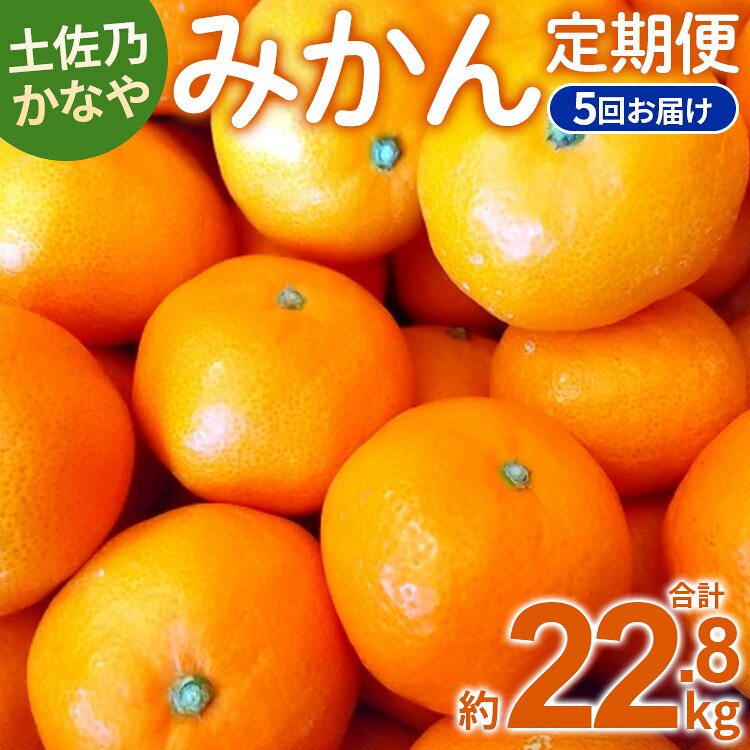 土佐乃かなや 数量限定5回定期便 - 5ヵ月定期便 ミカン 蜜柑 柑橘 果物 くだもの フルーツ 極早生 早生 ごくわせ わせ 倭香 山北みかん 送料無料 のし 数量限定 かなや農園 合同会社Benifare 高知県 香南市【常温】Wbe-0019