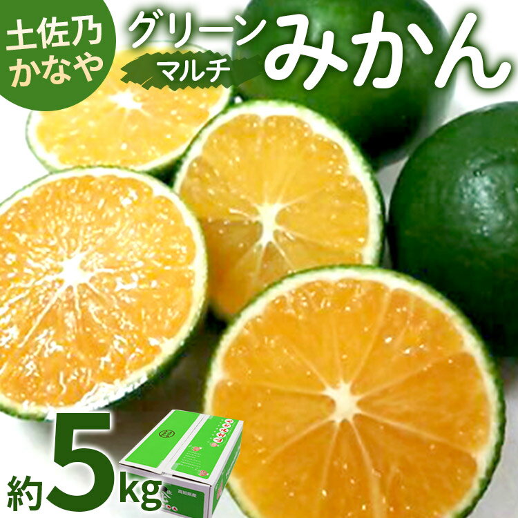 [数量限定]土佐乃かなや マルチ グリーンみかん 約5kg - ミカン 蜜柑 柑橘 果実 果物 フルーツ 送料無料 のし 熨斗 酸味 甘い ジューシー みずみずしい 果汁 爽やか さわやか かなや農園 合同会社Benifare 高知県 香南市[常温]be-0015