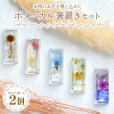 【ふるさと納税】【選べるカラー】本物のお花を閉じ込めた ボタニカル箸置き 2個セット(全5色)- 雑貨 花 ドライフラワー 押し花 おしゃれ 可愛い 記念日 誕...