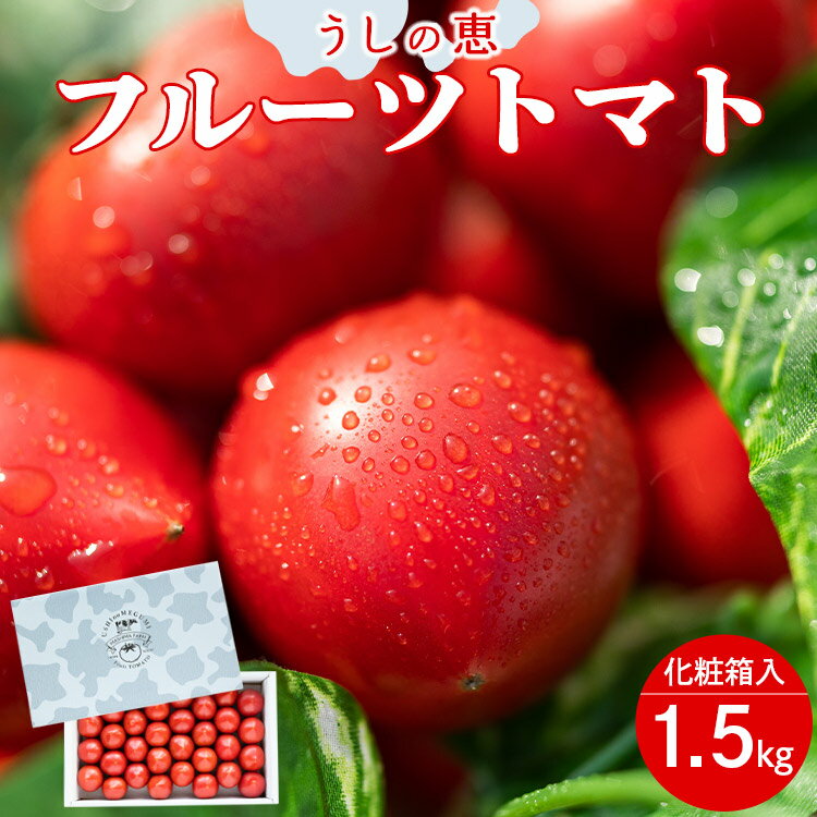 【ふるさと納税】【数量限定】うしの恵 フルーツトマト 化粧箱入り 約1.5kg - 野菜 とまと 産地直送 2025年発送 料理…