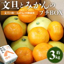 【ふるさと納税】文旦とみかんのプチBOX 合計約3kg - 果物 くだもの フルーツ 柑橘類 ぶんた ...