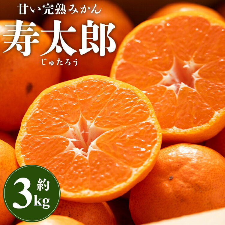 間城農園 甘い完熟みかん 寿太郎(じゅたろう)約3kg - 送料無料 フルーツ 果物 くだもの 甘い おいしい 期間限定 数量限定 柑橘 ミカン 蜜柑 送料無料 高知県 香南市[常温]ms-0046
