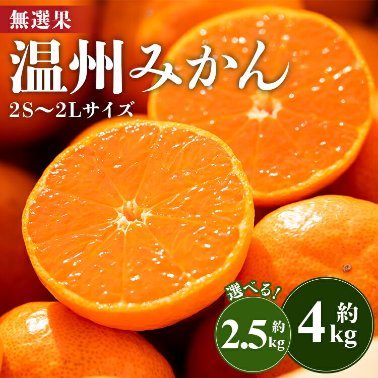 [選べる内容量][無選果]温州みかん 約2.5kg/約4kg(2S〜2Lサイズ・大小混合)- ミカン 蜜柑 柑橘 柑橘類 フルーツ 果物 くだもの 甘い 家庭用 サイズ混合 高知県 香南市[常温]