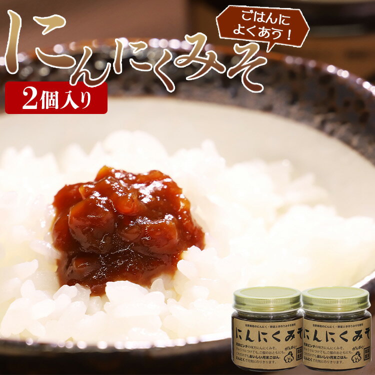 【ふるさと納税】南国農家 ごはんによくあう！にんにくみそ2個入り - 送料無料 のし対応可 朝食 晩御飯 トッピング 煮込み 隠し味 料理 調味料 特産品 ギフト お中元 御中元 贈答 贈り物 高知県香南市【常温】 ng-0007