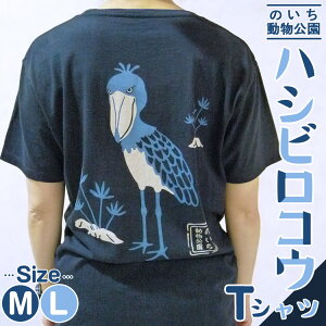 【ふるさと納税】【数量限定】ハシビロコウTシャツ - 送料無料 はしびろこう ティーシャツ のいち動物公園 動物園 トリップアドバイザー2020 オシャレ おしゃれ 可愛い カワイイ 動物好き どうぶつ 綿 100% めん とり 鳥 鳥好き グッズ 洋服 高知県 香南市【常温】ni-0004