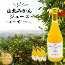 【ふるさと納税】山北みかんジュース 720ml×12本 - 