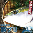 18位! 口コミ数「3件」評価「5」【数量限定】中山水産 手結沖養殖「勝ブリ」1匹（5kg〜6kg）- 期間限定 魚 ぶり 鰤 寒ブリ 海鮮 鮮魚 魚介類 海の幸 ギフト お刺･･･ 