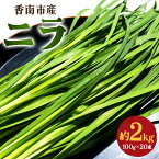 【ふるさと納税】香南市産 ニラ 約2kg（100g×20束） - にら 韮 香味野菜 やさい 葉物 新鮮 生 料理 もつ鍋 餃子 饅頭 キムチ チヂミ 炒め物 おひたし 直送 国産 おきゃんぴー農園 高知県 香南市【冷蔵】 on-0011