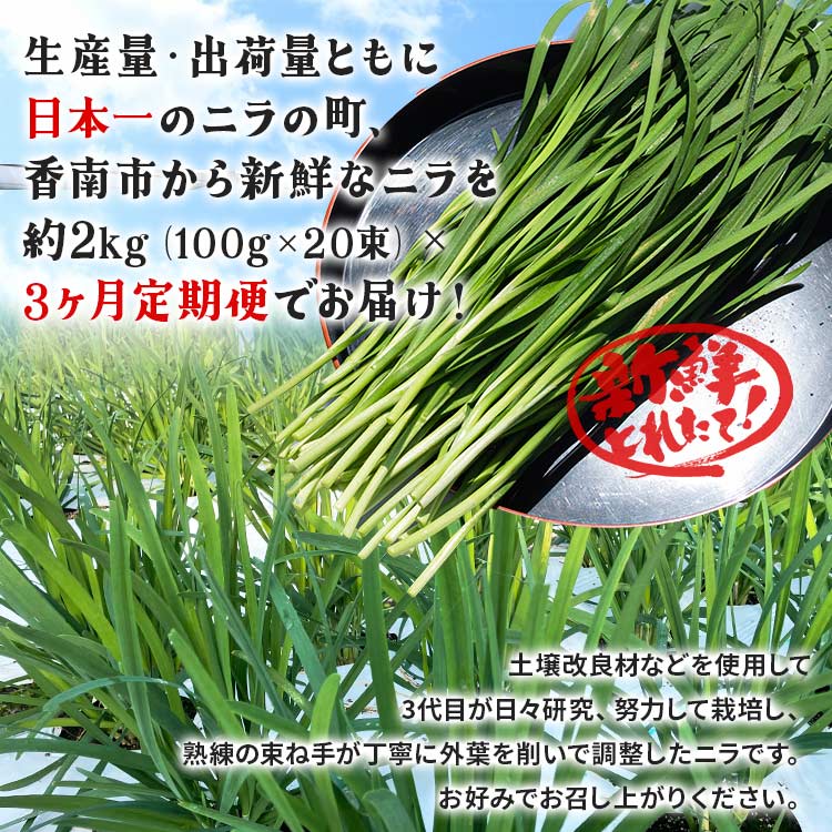 【ふるさと納税】3ヶ月定期便 香南市産 ニラ 合計約6kg（2kg×3回） - にら 韮 香味野菜 やさい 葉物 新鮮 生 料理 もつ鍋 餃子 饅頭 キムチ チヂミ 炒め物 おひたし 直送 国産 おきゃんぴー農園 高知県 香南市【冷蔵】Won-0008