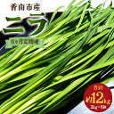 【ふるさと納税】6ヶ月定期便 香南市産 ニラ 合計約12kg（2kg×6回） - にら 韮 香味野菜 やさい 葉物 新鮮 生 料理 もつ鍋 餃子 饅頭 キムチ チヂミ 炒め物 おひたし 直送 国産 おきゃんぴー農園 高知県 香南市【冷蔵】Won-0018