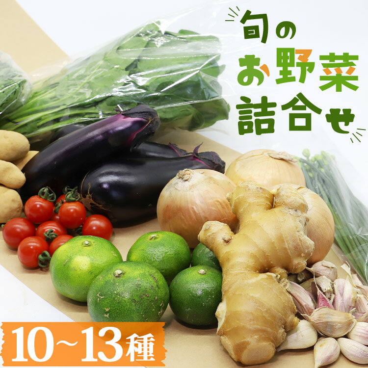 【ふるさと納税】香南市産 旬のお野菜詰合せ(10〜13品目)