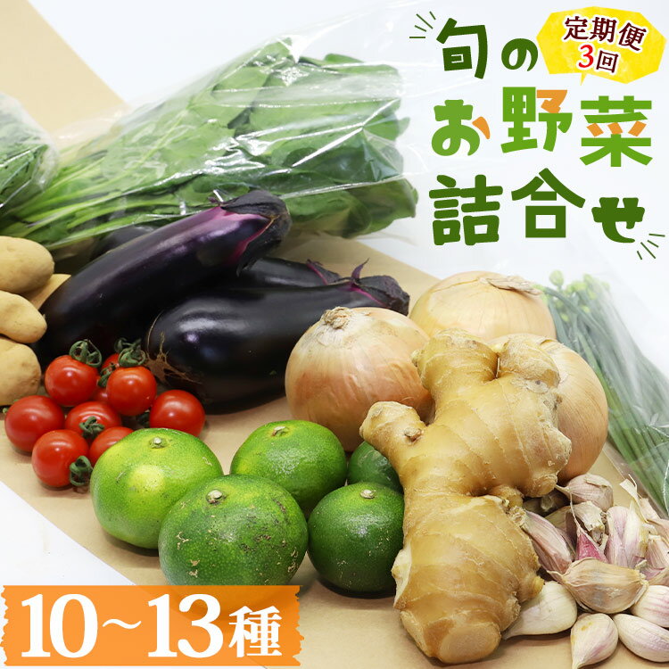 プライム株式会社 定期便3回コース 香南市産 旬のお野菜詰合せ(10〜13品目) - 送料無料 10～13種類 やさい 季節の野菜 季節品 新鮮 お楽しみ おたのしみ お任せ おまかせ 詰め合わせ セット 土佐野菜 新鮮 しんせん 国産 高知県 香南市 Wpr-0008【冷蔵】